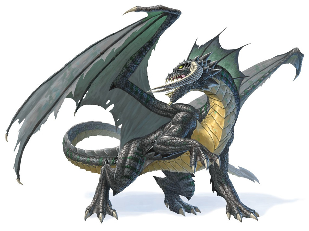 Dragon noir, adulte