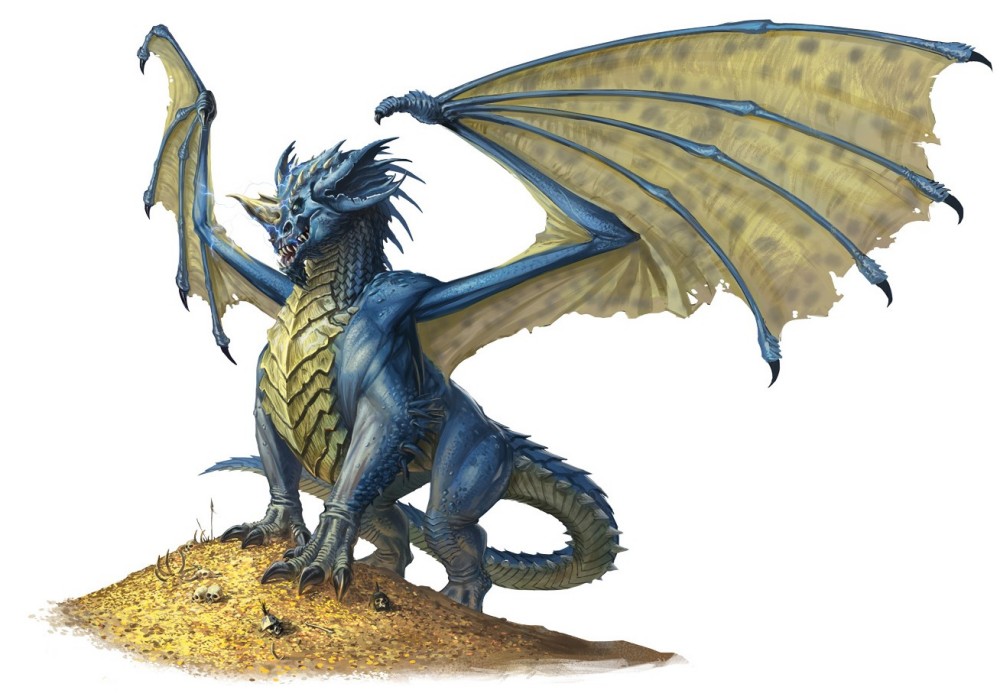 Dragon bleu, adulte