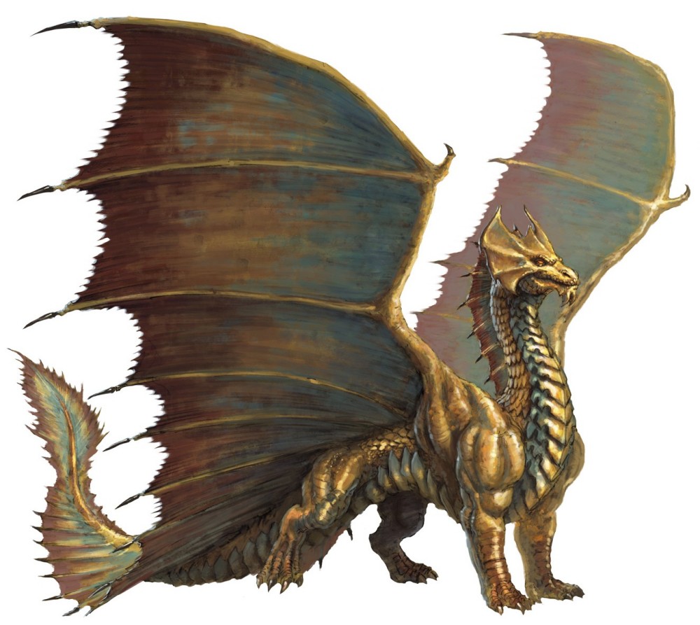 Dragon d'airain, adulte