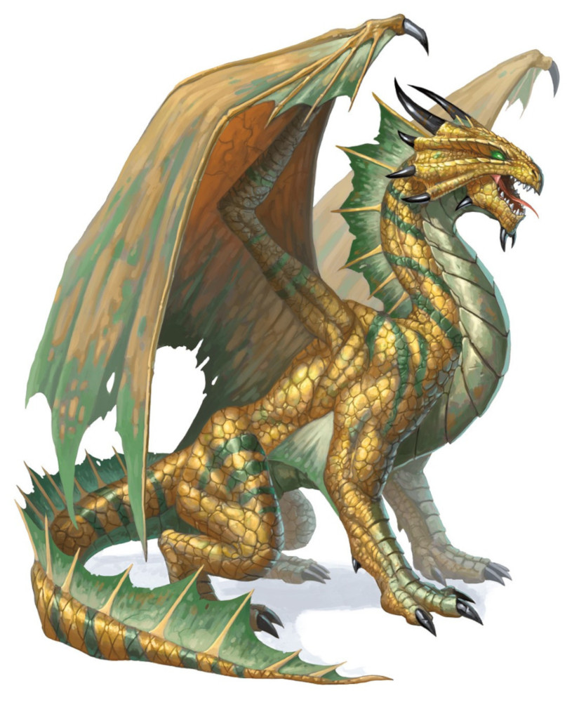 Dragon de bronze, adulte