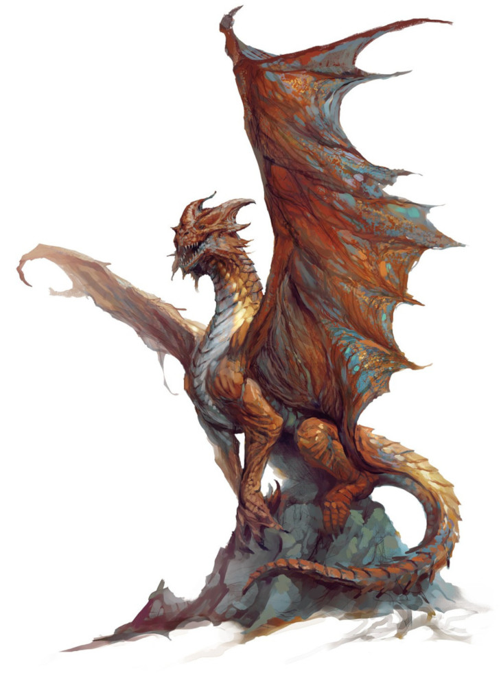 Dragon de cuivre, jeune