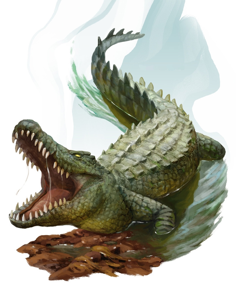Crocodile