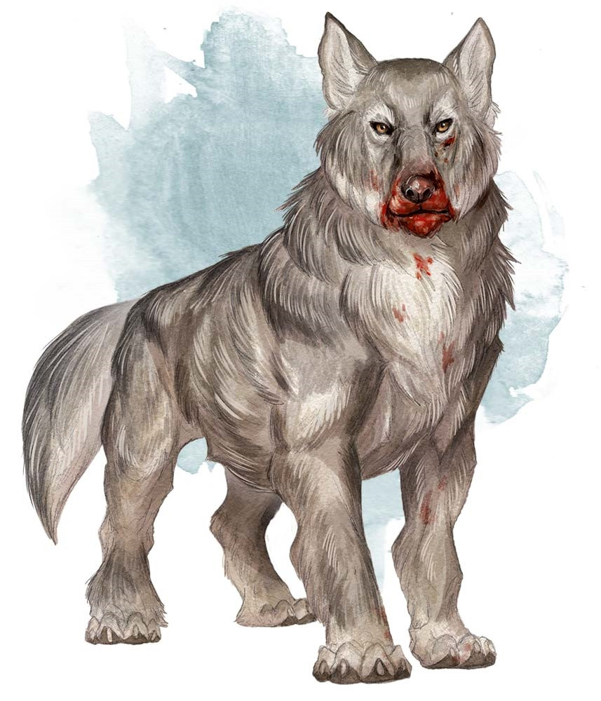 Loup