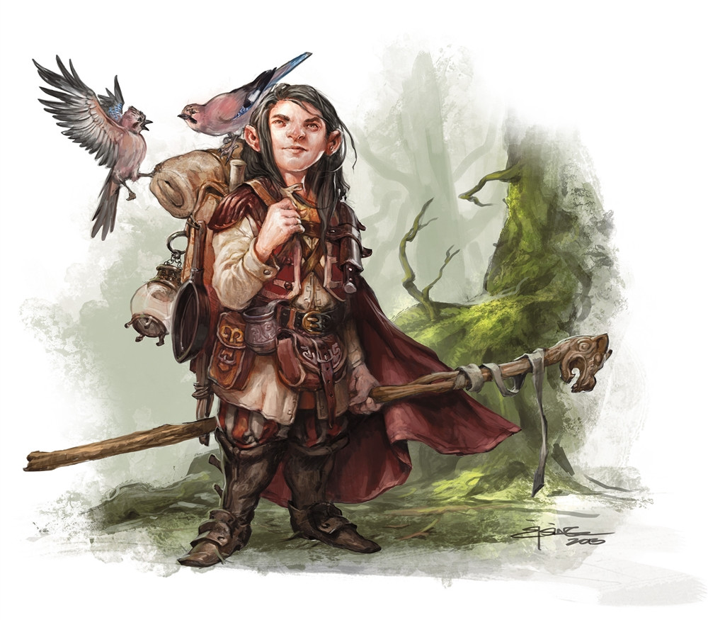 Druide