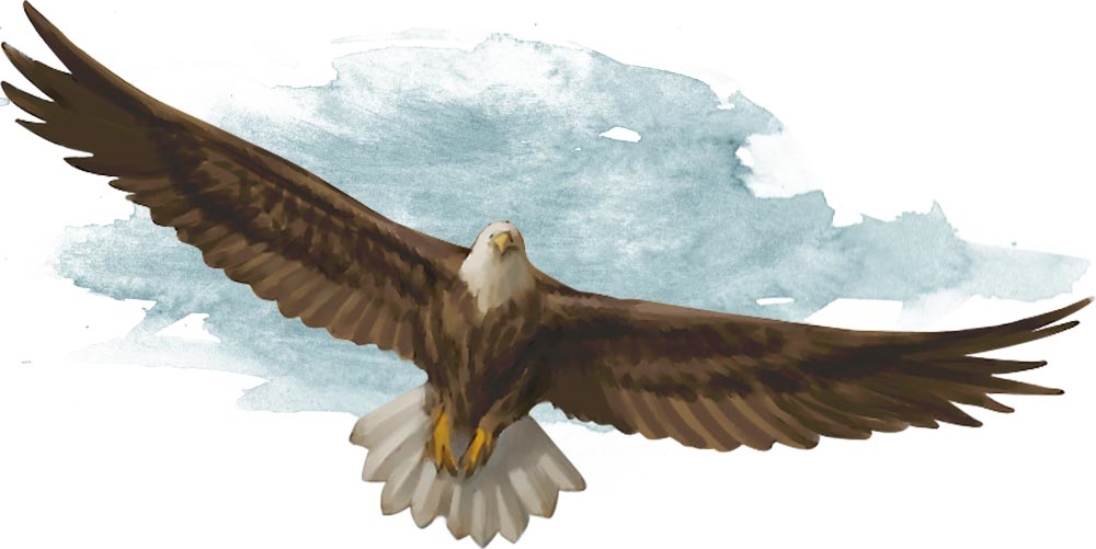 Aigle