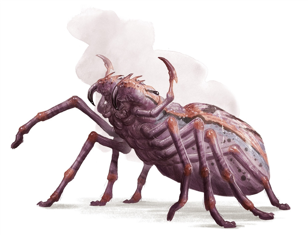 Araignée géante