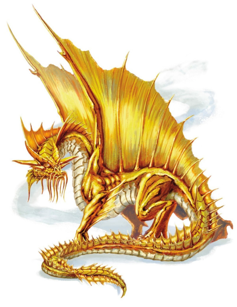 Dragon d'or, adulte