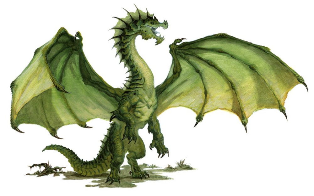 Dragon vert, adulte