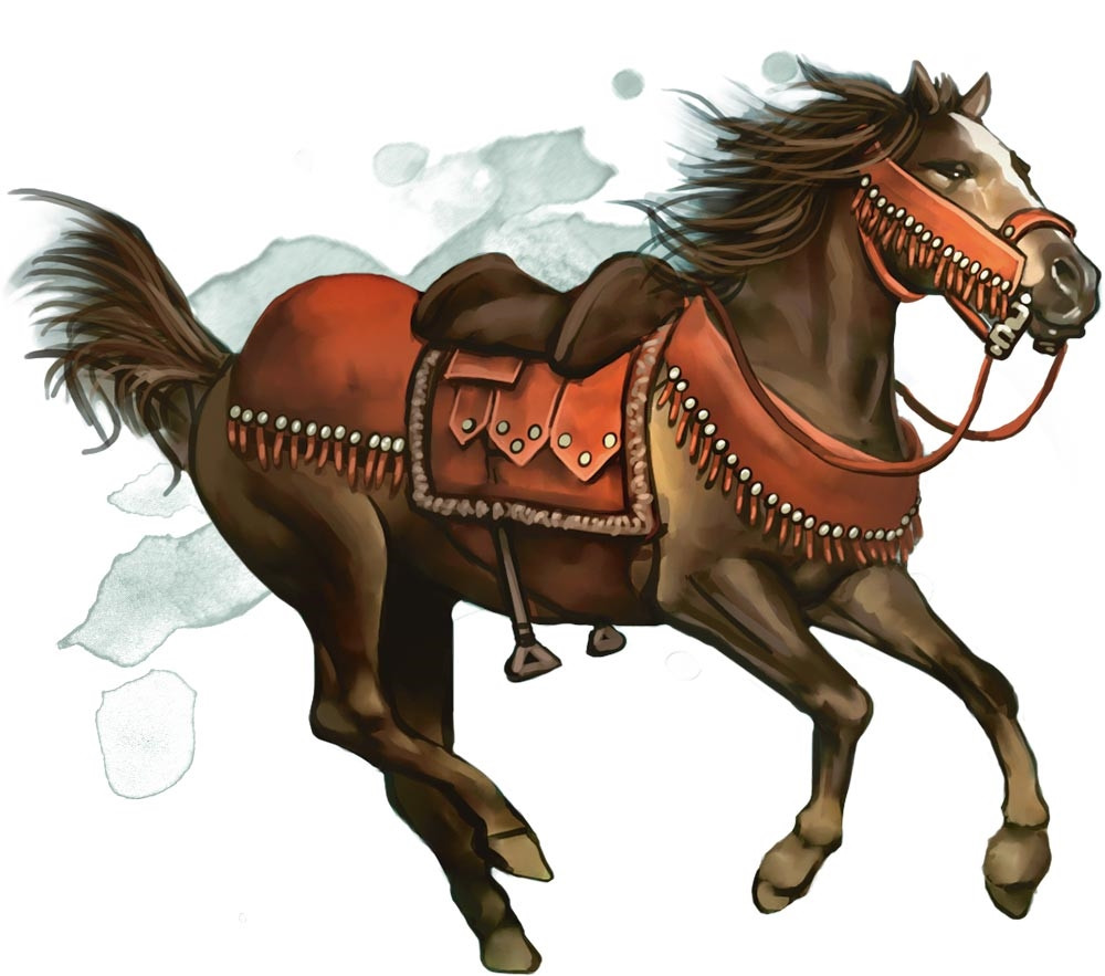 Cheval de selle