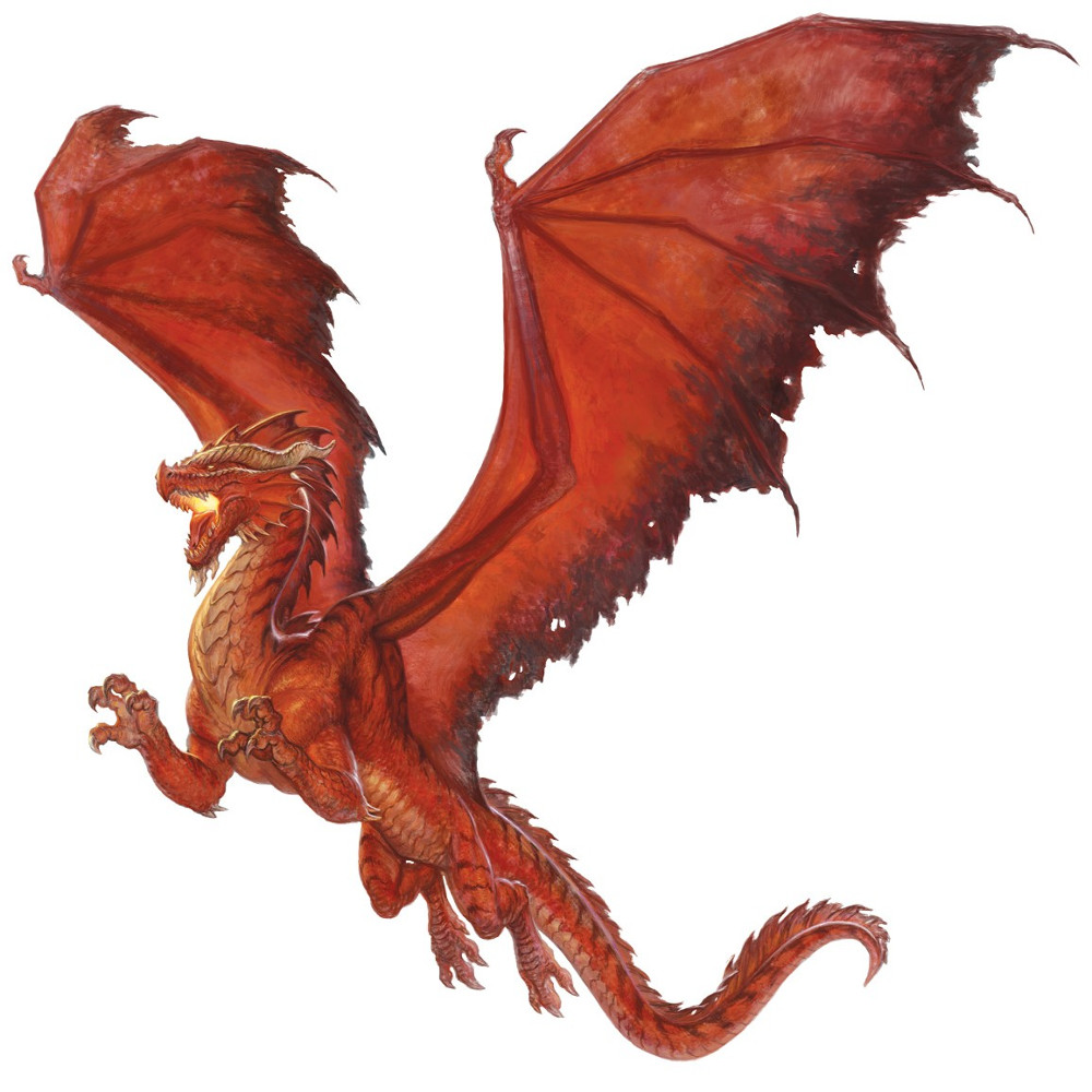 Dragon rouge, adulte