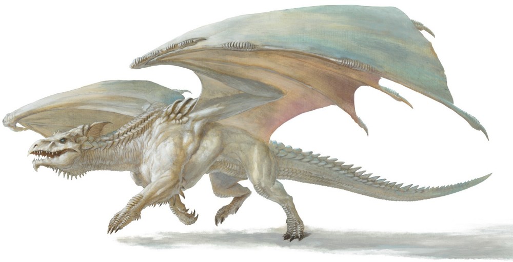 Dragon blanc, adulte